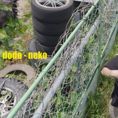 neko